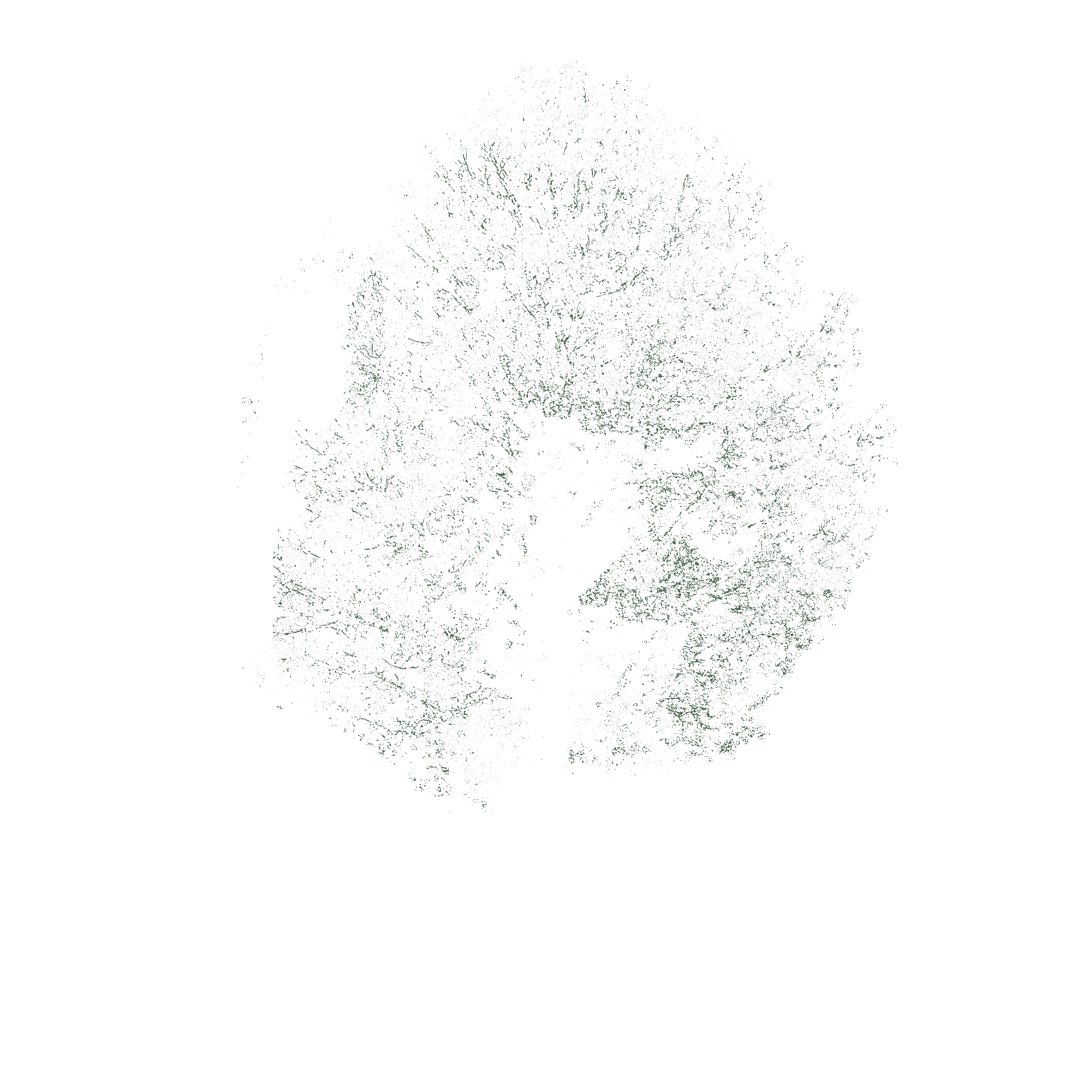 Green Base